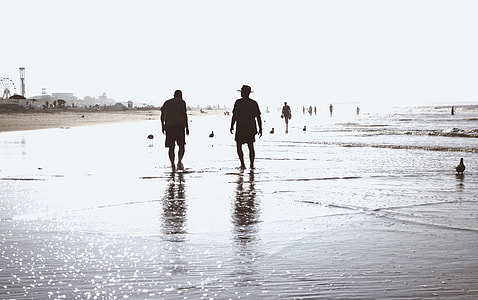 silhouette of 2 man on beach shore thumbnail