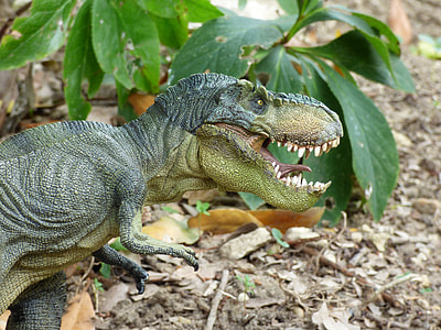 gray T-rex toy beside green leafed plant thumbnail