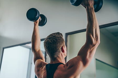 Arm Back Muscles Photo thumbnail