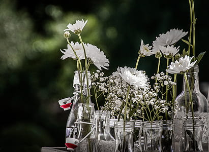white petaled flowers on jar and bottles thumbnail