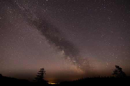 landscape photography of trees and stars thumbnail