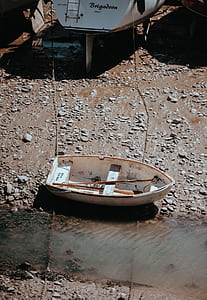 white dinghy boat with brown paddles thumbnail