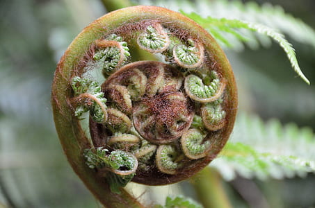 selective focus photography of sprout plant thumbnail
