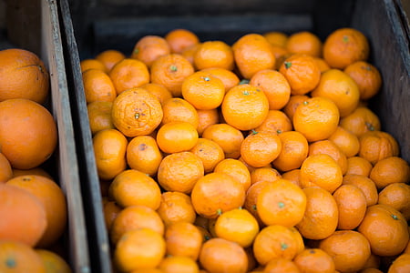 orange fruit lot in brown wooden crate thumbnail