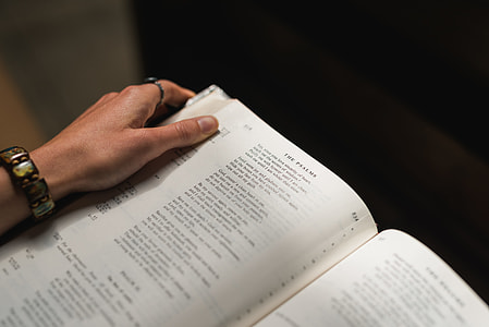 person holding white book page thumbnail