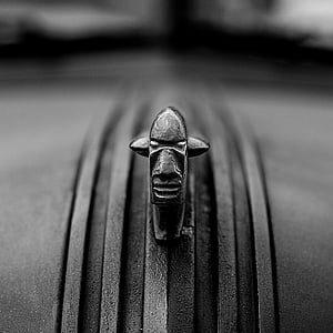 grayscale photography of head figure thumbnail