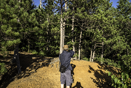 Man taking picture of trees at Levis Mound, Wisconsin thumbnail