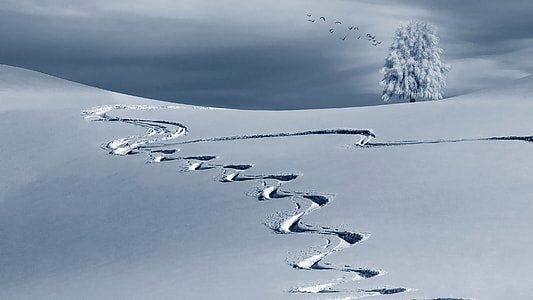 Lines and tracks in the snow thumbnail