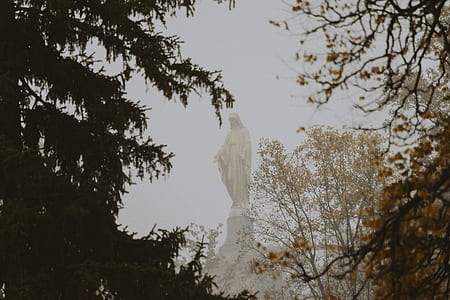 huge religious statue low-angle photography near trees during daytime thumbnail