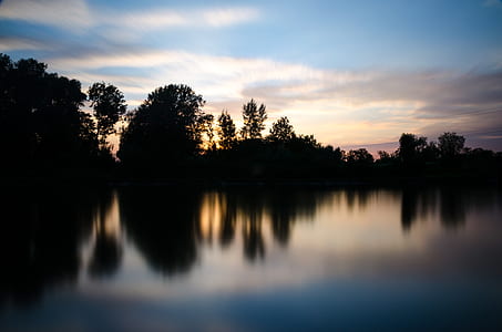 silhouette of forest near body of water at daytime thumbnail
