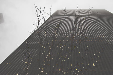 worms eye view of building and tree thumbnail
