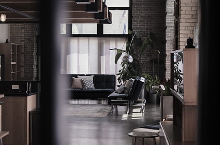 couch near potted plants on room thumbnail