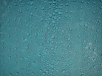 photography of water dew thumbnail