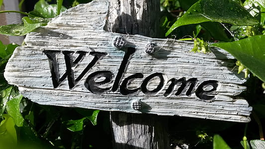 white wooden Welcome wooden signage thumbnail