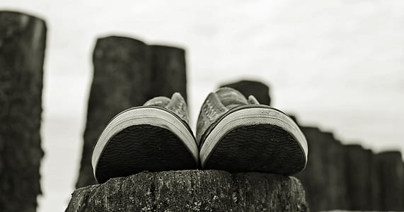 shallow focus photography of gray low-top sneakers thumbnail