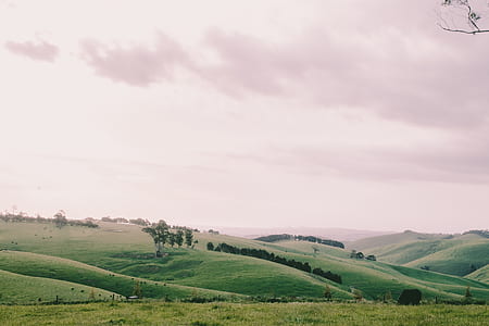 green grass field taken under white clouds at daytime thumbnail