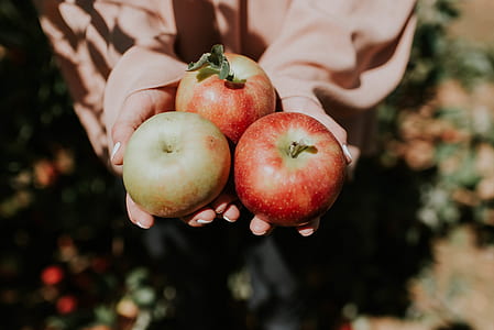 person holding three apples thumbnail