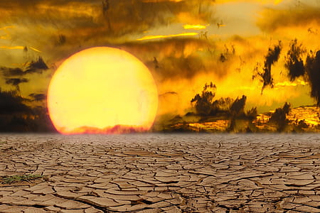 dried land during daytime illustration thumbnail