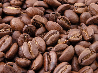 coffee bean lot thumbnail