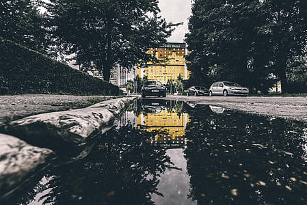 black car beside puddle and hedge wal thumbnail