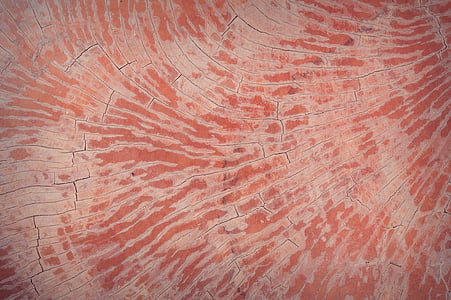 orange and white textile thumbnail