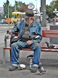 man sits on brown wooden bench while feeding birds thumbnail