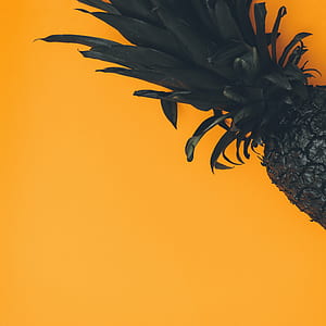black pineapple thumbnail