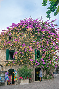 photo of house covered with flowers thumbnail