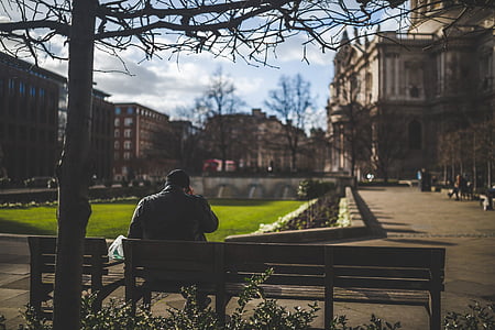 man sitting on brown bench under bare tree thumbnail