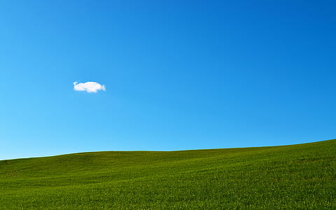 green grassland during daytime thumbnail