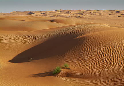 aerial photography of oasis in desert thumbnail