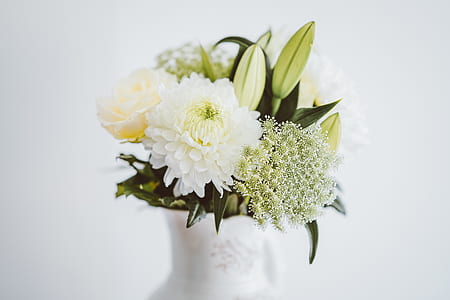 close up photography of white flowers in white vase thumbnail