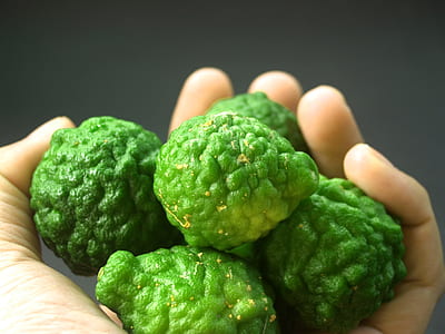 person holding fruits thumbnail