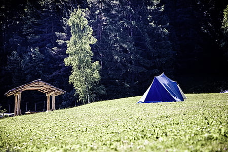 blue tent near tree thumbnail