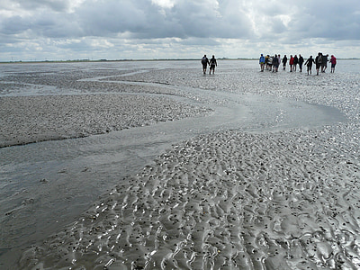 group of person in seashore thumbnail