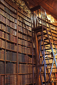 brown wooden ladder beside bookshelf inside the library thumbnail