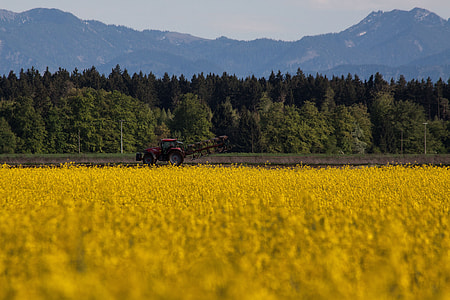 Oilseed Rape, Agricultural Operation thumbnail