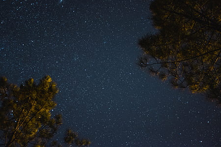 nighsky thumbnail