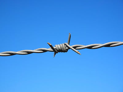 gray barbed wire thumbnail