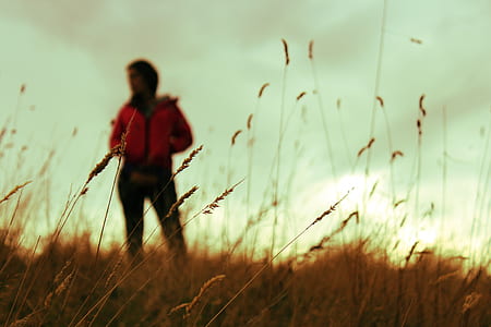 person standing on farm thumbnail