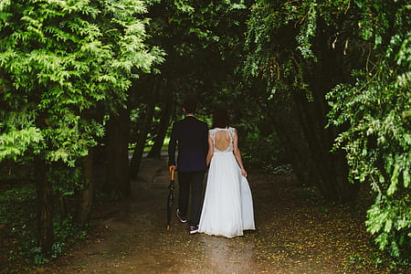 woman and man walking in forest during daytime thumbnail