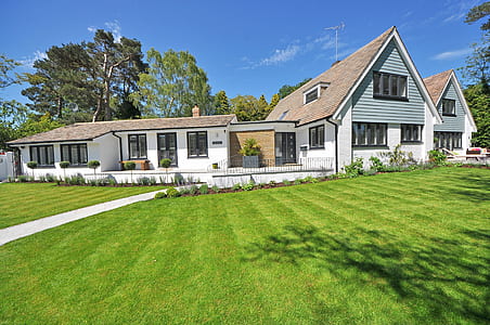 sunny, building, garden, trees thumbnail