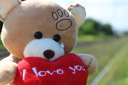 selective focus photography of bear holding heart plush toy thumbnail