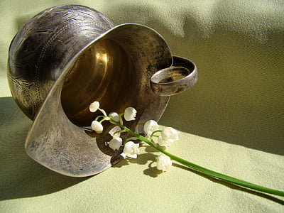 white petaled flowers and gray vase thumbnail