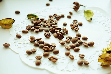 Brown Coffee Bean on White Surface thumbnail