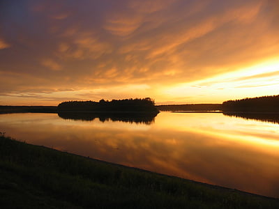 silhouette of tree on lake thumbnail