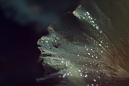 cold, light, nature, art thumbnail