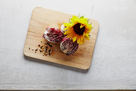 yellow and black sunflower thumbnail