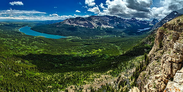 Aerial View Photography of Forest thumbnail