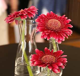 selective focus photography of red petaled flowers in glass vases thumbnail